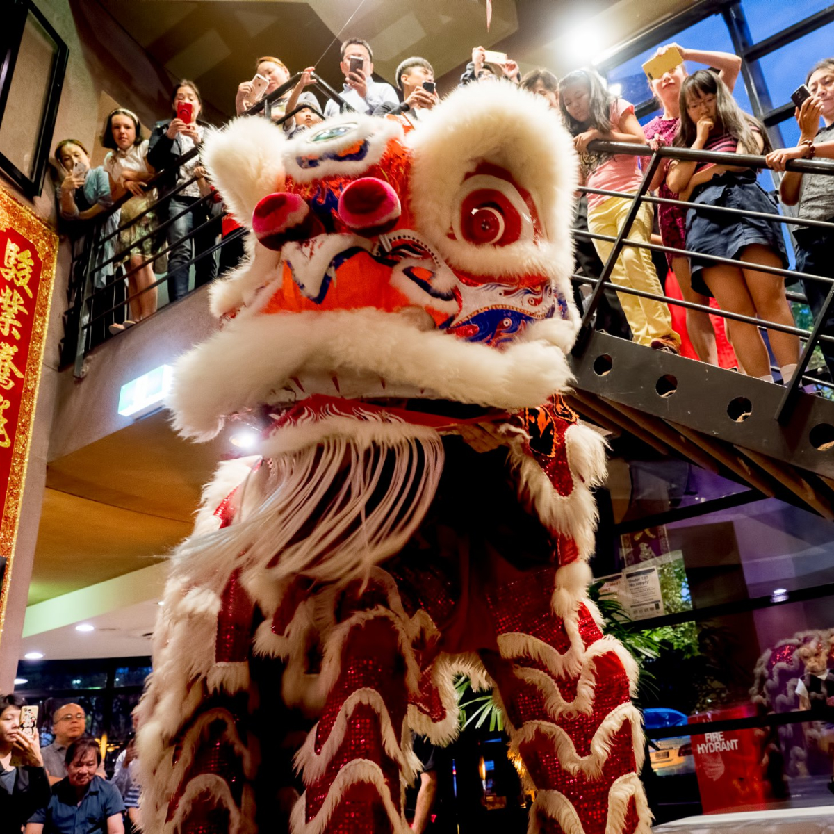 Hung Gar Yau Shu - Melbourne Lion Dance | Dragon Dance | Drumming ...